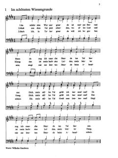 Im schönsten Wiesengrunde 