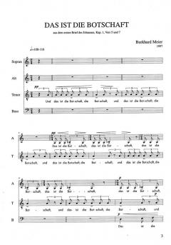 Das ist die Botschaft (Burkhard Meier) 
