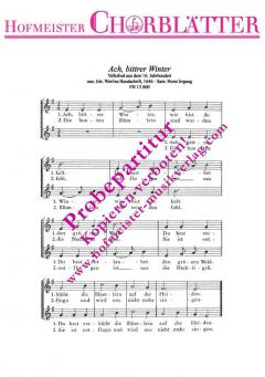 Ach, bittrer Winter 