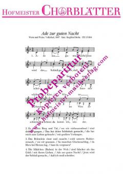 Ade zur guten Nacht 