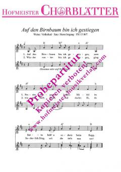 Auf den Birnberg bin ich gestiegen 