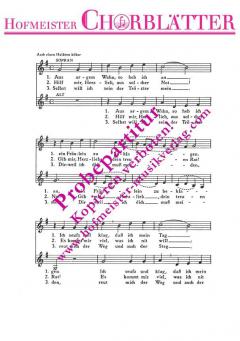 Aus argem Wahn (um 1550) 