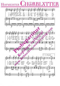 Der Herbst steht auf der Leiter (Jürgen Golle) 