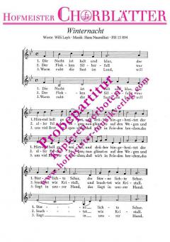 Winternacht (Die Nacht ist kalt und klar) (Hans Naumilkat) 