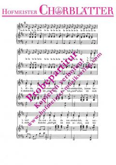 Escondido, du versteckst dich 