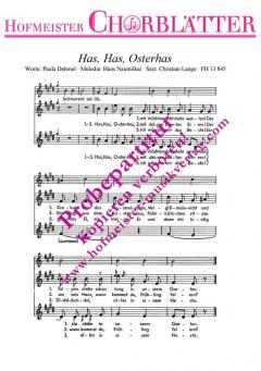 Has, Has, Osterhas (Hans Naumilkat) 