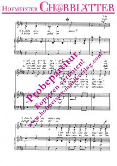 Wäsche im Winter (Horst Irrgang) 