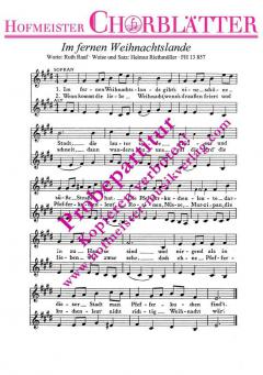 Im fernen Weihnachtslande (Helmut Riethmüller) 