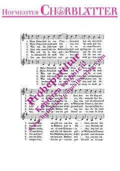 Mein Feinslieb ist von Flandern 