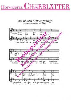 Und in dem Schneegebirge 