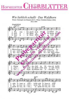 Wie lieblich schallt (Friedrich Silcher) 