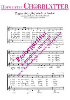 Zogen einst fünf wilde Schwäne (Karl Plenzat) 