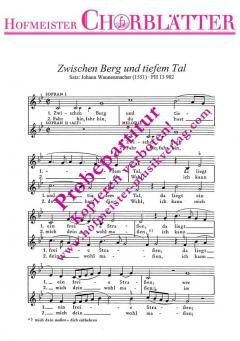 Zwischen Berg und tiefem Tal (Johann Wannenmacher) 