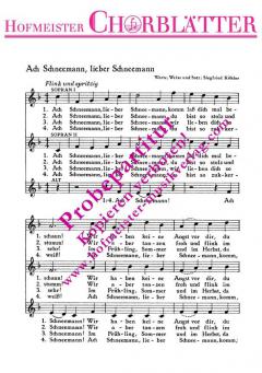 Ach Schneemann, lieber Schneemann (Siegfried Köhler) 