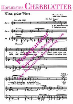 Wiese, grüne Wiese (Auf einem Maulwurfshügel) (Lothar Voigtländer) 