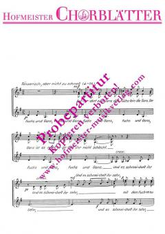 Fuchs und Gans (Siegfried Stolte) 