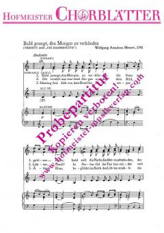 Bald prangt, den Morgen zu verkünden (W.A. Mozart) 
