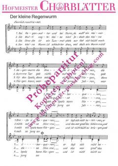 Der kleine Regenwurm (Bei Regenwetter und bei Sturm) (Siegfried Stolte) 