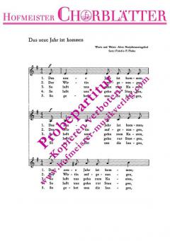 Das neue Jahr ist kommen 