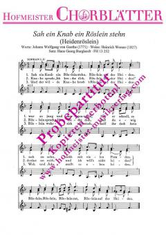 Heidenröslein (Heinrich Werner) 