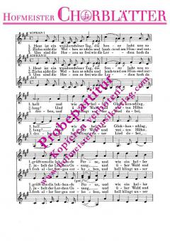 Heut ist ein wunderschöner Tag (Siegfried Köhler) 