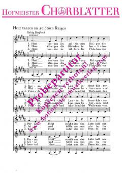 Heut tanzen im goldenen Reigen (Siegfried Köhler) 