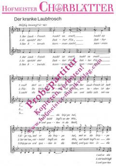 Der kranke Laubfrosch (Der Laubfrosch hockt so matt) (Siegfried Stolte) 