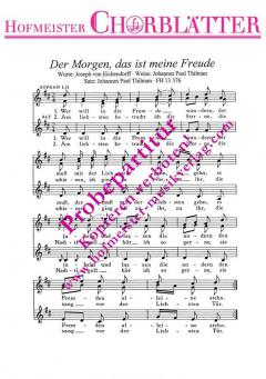 Der Morgen, das ist meine Freude (Johannes Paul Thilmann) 