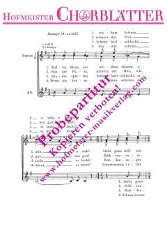 Der Schneemann (Kalter Mann aus weissem Schnee) (Siegfried Stolte) 