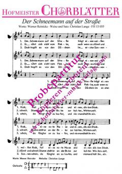 Der Schneemann auf der Straße (Christian Lange) 