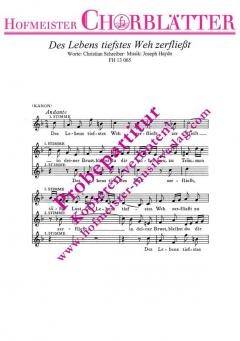 Des Lebens tiefstes Weh zerfliesst (Joseph Haydn) 