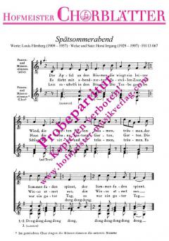 Spätsommerabend (Die Äpfel an den Bäumen) (Horst Irrgang) 