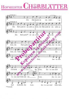 Die Fassnacht ist ein schöne Zeit 