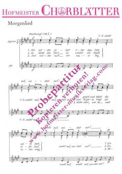 Die Lerche jubelt über dem Feld (Siegfried Stolte) 