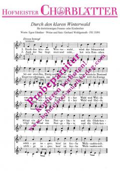 Durch den klaren Winterwald (Gerhard Wohlgemuth) 