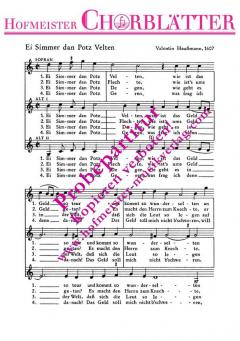 Ei Simmer dan Potz Velten (Valentin Haußmann) 