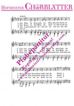 Ein Blatt ist kein Laub (Siegfried Bimberg) 