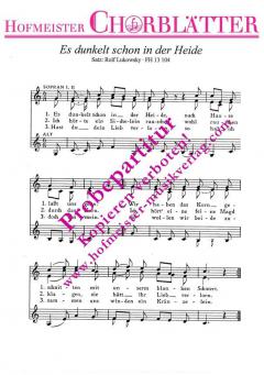 Es dunkelt schon in der Heide 