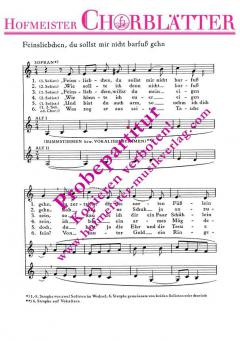 Feinsliebchen, du sollst mir nicht barfuss gehen (Anton Wilhelm von Zuccalmaglio) 