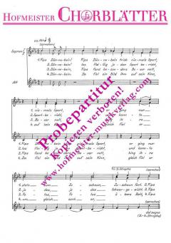 Fips Dünnebein (Kurt Schwaen) 