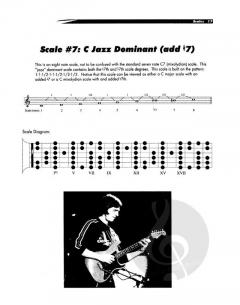 Just For The Curious von Allan Holdsworth 