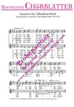 Gestern bei Mondenschein 