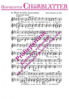 Im Wald, im hellen Sonnenschein (Robert Radecke) 