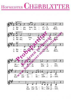 Kume, kum, Geselle min 