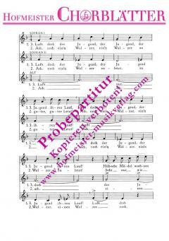 Lasst doch der Jugend ihren Lauf 