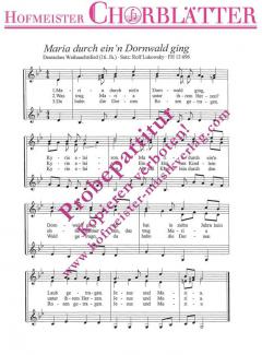 Maria durch ein Dornwald ging 