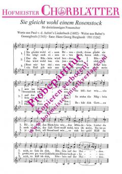 Sie gleicht wohl einem Rosenstock 