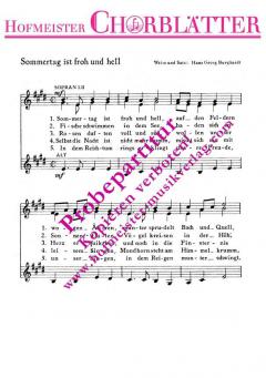 Sommertag ist froh und hell (Hans-Georg Burghardt) 