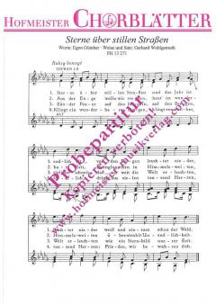 Sterne über stillen Straßen (Gerhard Wohlgemuth) 