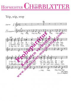 Trip, trip, trip (So ein großer Regen) (Jürgen Golle) 